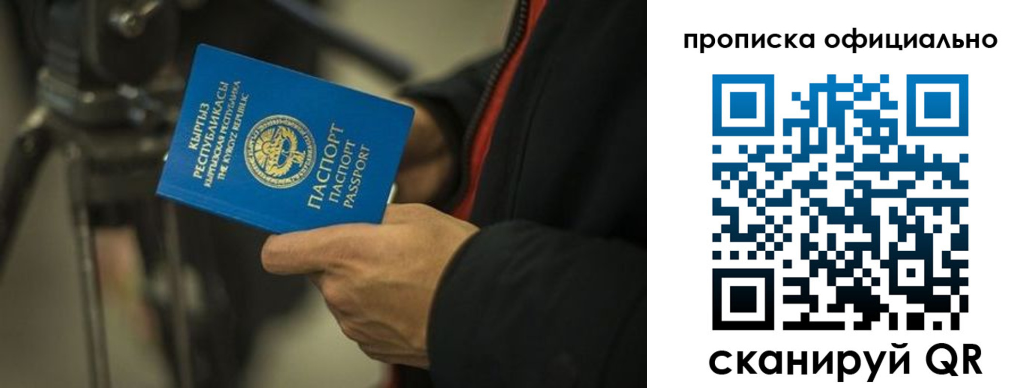 прописка в Московской области